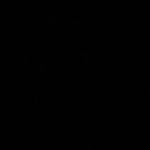 Meet your Posher, Kaitlyn